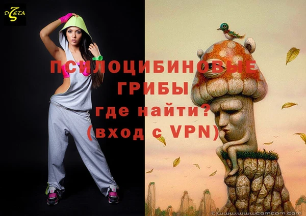 твердый Алексеевка