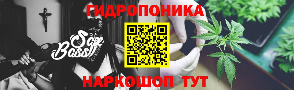 Шишки марихуана конопля Новороссийск